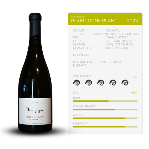 Bourgogne Blanc 2023 - Charodon par L. Vallet