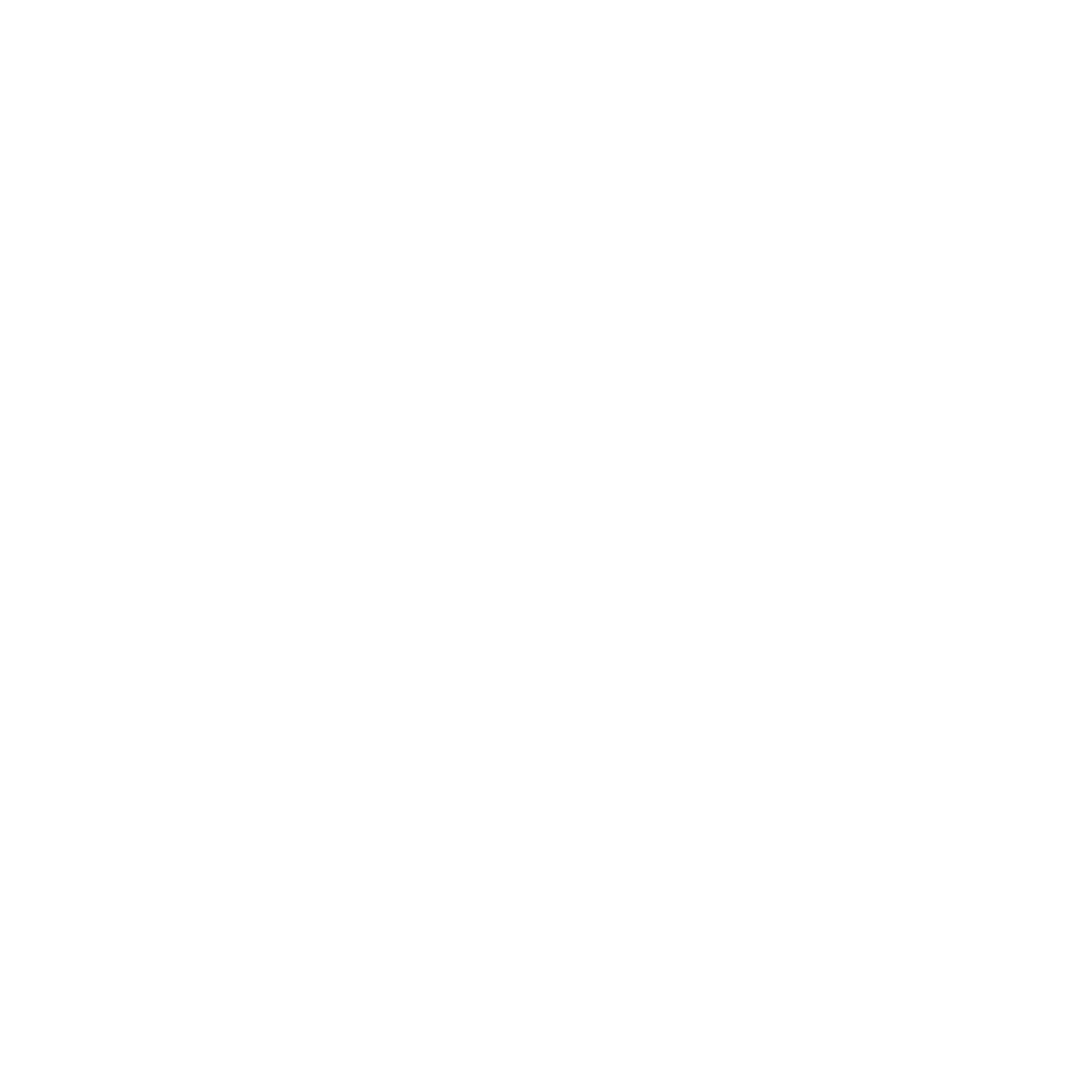 The Wine Plug